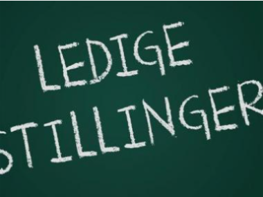 Ledige stillinger på Højvangskolen